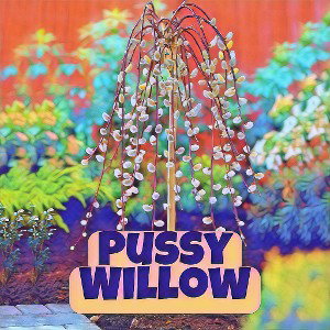 Kitty talkin' back