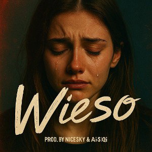 Wieso (prod. by NiceSky & Ai|S|Qi)