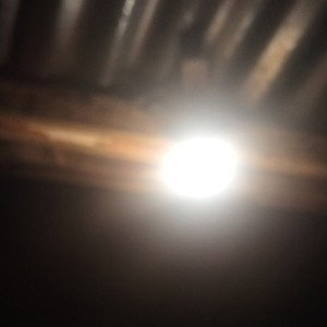 R.E.D - Moses (Unreleased)