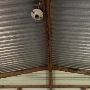 shake up the shed