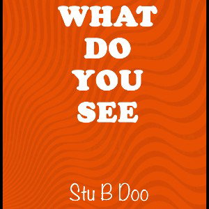 WhatDoYouSee