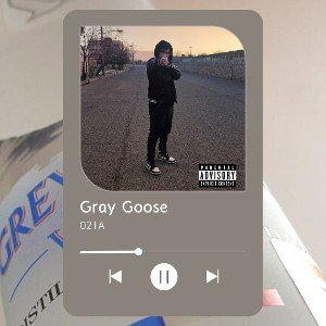 ⁰²1A - gray Goose  