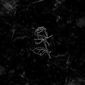 رُزِ سیـاهــــ🖤