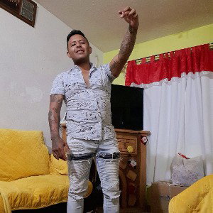 real stylo