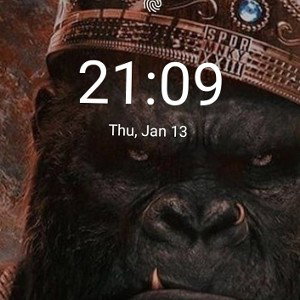 I  am the king of animals