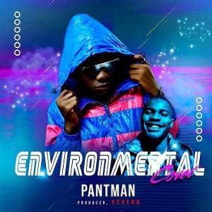 Environment (Cover)