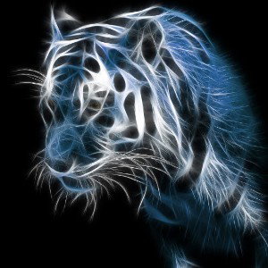 Tiger baby(freestyle)