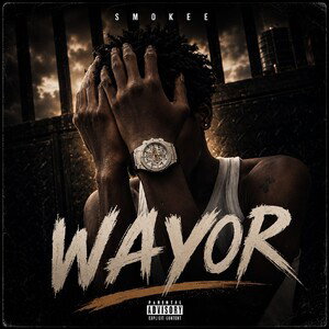 Wayor 