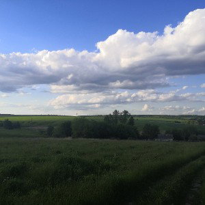 все иду домой с магаза фрист