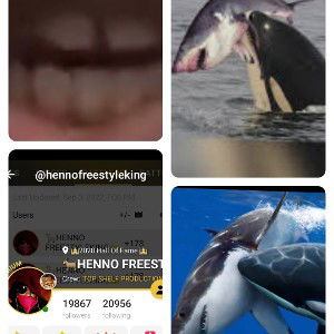 #Henno the freestyle king aka sharky Roast  🔥 📛  
