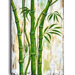 BamBoo