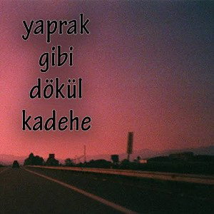 ONEfth & Zehra Gülüç - Yaprak Gibi Dökül Kadehe (MIX)