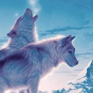 the shadow of wolf pack