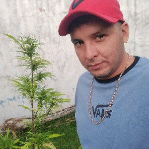 improo en mi habitoo