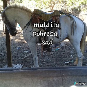 maldita pobreza 