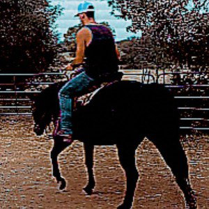 riding on🐎🐎🐎