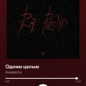 BigTorch