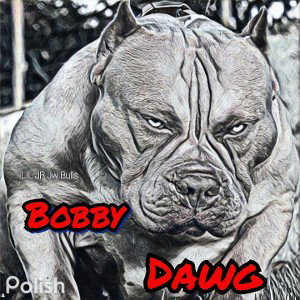BOBBY DAWG - Bobby_Dawgs_Back