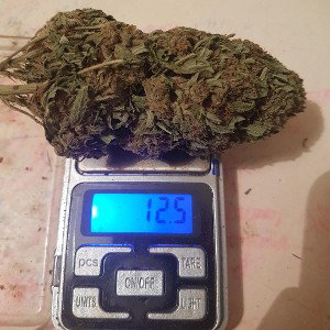 cumbia 420
