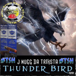 Thunder Bird 