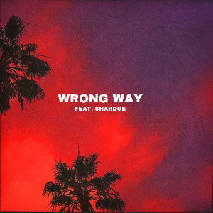 WRONGWAYEMASTERED