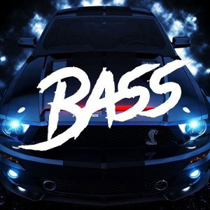 Wolf - BASS🔊