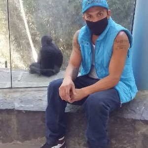 la vida de la calle 