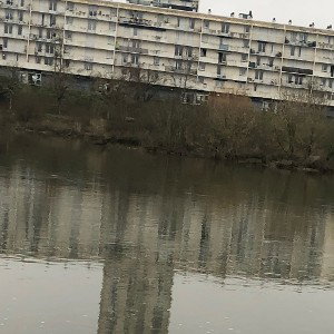 BiPolar (14:21:26)