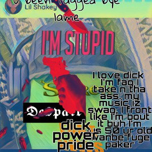 lil shakey. aka lil shadey, fuk ing swag