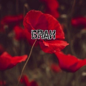 Я ЛЮБЛЮ БПАН
