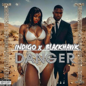 🔥DANGER ⚠️ ‼️🔥- INDIGO x BLACKHAWK 
