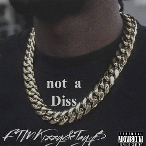 NotADiss