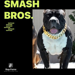 Smash bros.