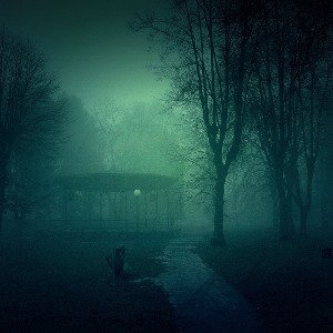 Walk In The Park 