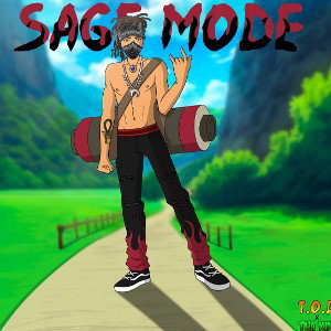 SAGE MODE