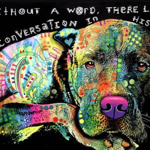 Dudu Brown - CONVERSATIONS WITH DUDU 