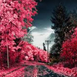Dudu Brown - LOVE IS CALLN 