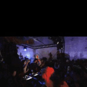 Party 