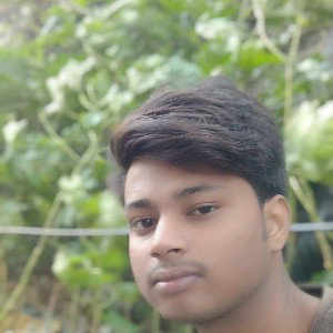 VIMLESh