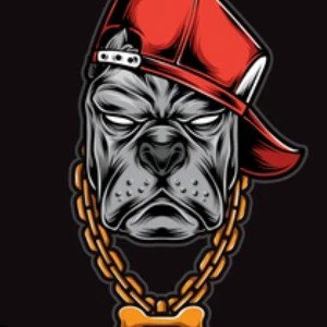 Bully collab