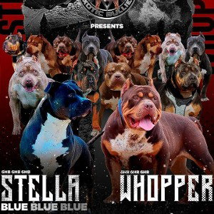 OFFICIAL BULLY MUSIC RECIRD$ INTRO PT2