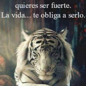 #diadesuerte