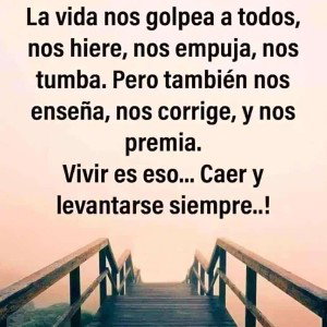 El comienzo 