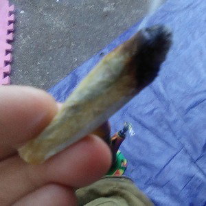 baked asf off the top freestyle 