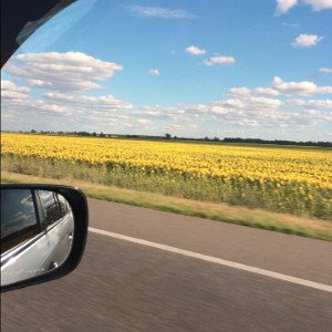 Поездка