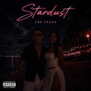 STARDUST