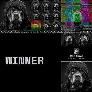 Winner