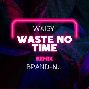Waste No Time (w/ Waley)
