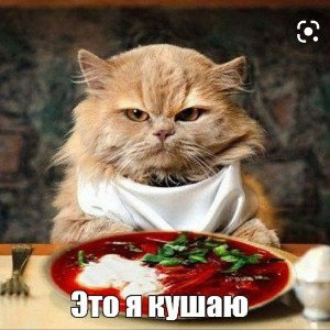 Я кушаю
