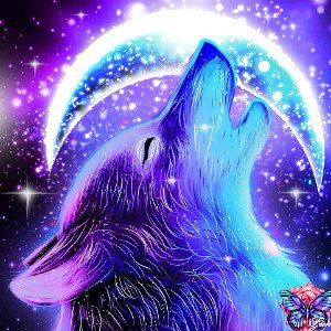 Moon   🌙   Howling 